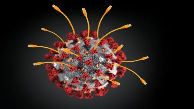 Photo of Coronavirus is affecting the mass health very rapidly: again