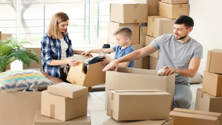 Photo of IMPORTANCE OF MOVERS AND PACKERS COMPANIES IN SINGAPORE