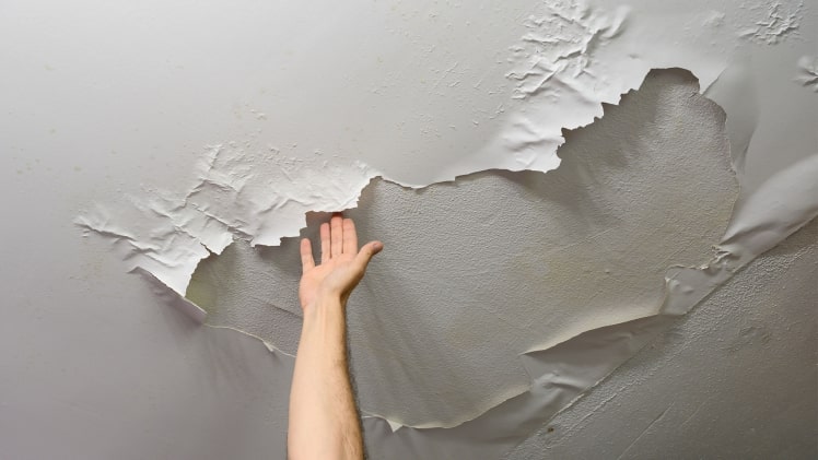 Photo of Rising Damp In Your Building? Here’s What You Should Do