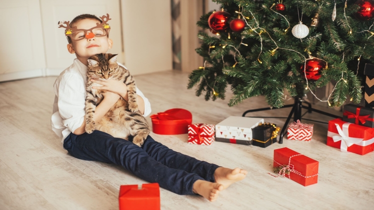 Photo of 4 Interesting Gifts to Present to a Cat-Obsessed Human