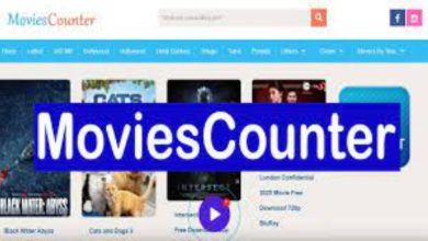 Photo of How to Download Movie from MoviesCounter