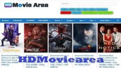 Photo of What You Need to Know Before Using HdMovieArea