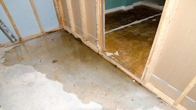 Photo of Water Damages in Basement – Everything to know about