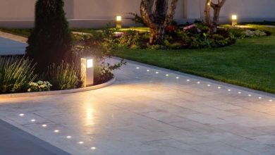 Photo of Responsible Illumination: Tips for Making Landscape Lighting Systems Less Visible