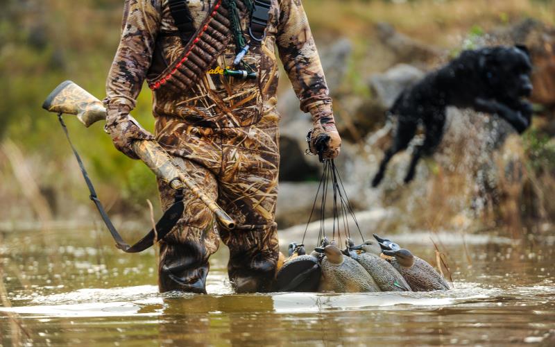 How High-Quality Decoys Can Transform Your Hunting Success